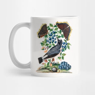 Northern Wheatear, Bilberry and Camberwell Beauty and Pupa Mug